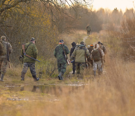 Mancata riforma della legge sulla caccia, critiche le associazioni venatorie Mancata riforma della legge sulla caccia, il commento delle associazioni venatorie: cacciatori di spalle