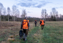Riforma della legge sulla caccia, Lollobrigida invita le associazioni a esprimersi Riforma della legge sulla caccia, Lollobrigida invita le associazioni a esprimersi: cacciatori di spalle, con giubbotto arancione alta visibilità