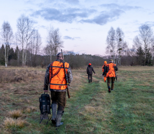 Riforma della legge sulla caccia, Lollobrigida invita le associazioni a esprimersi Riforma della legge sulla caccia, Lollobrigida invita le associazioni a esprimersi: cacciatori di spalle, con giubbotto arancione alta visibilità