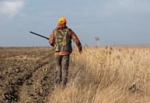 Riforma della legge sulla caccia, ripreso l’esame del ddl Bruzzone Riforma della legge sulla caccia, ripreso l’esame del ddl Bruzzone: cacciatore di spalle con fucile