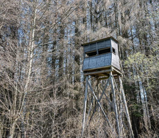 Riprende l’esame del ddl Bruzzone sulla riforma della legge sulla caccia Riprende l’esame del ddl Bruzzone sulla riforma della legge sulla caccia: altana da caccia, hunting tower