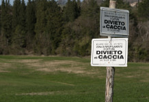 Ritirati emendamenti di riforma della legge sulla caccia Ritirati emendamenti di riforma della legge sulla caccia: cartelli "divieto di caccia"