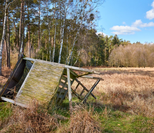 Ritirato emendamento su sanzioni per ostacolo alla caccia Ritirato emendamento su sanzioni per ostacolo alla caccia: altana da caccia caduta a terra