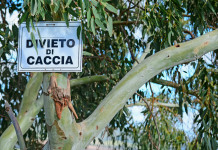 Stop della riforma della caccia, animalisti esultano Stop della riforma della caccia, animalisti esultano: segnale divieto di caccia