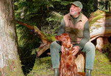 Tutela degli animali e della biodiversità, ruolo dei cacciatori: il commento della Fondazione Una Tutela degli animali e della biodiversità, ruolo dei cacciatori: il commento della Fondazione Una - cacciatore anziano con setter irlandese