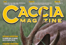 Caccia Magazine agosto 2024 copertina Caccia Magazine agosto 2024: capriolo anomalo