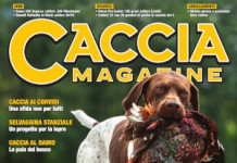 Caccia Magazine settembre 2024 Caccia Magazine settembre 2024