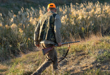 I calendari venatori regionali 2024/2025 I calendari venatori regionali 2024/2025: cacciatore