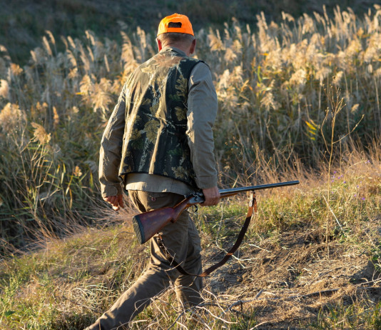 I calendari venatori regionali 2024/2025 I calendari venatori regionali 2024/2025: cacciatore