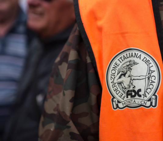 Ricorsi contro i calendari venatori, la Federcaccia prende posizione Ricorsi contro i calendari venatori, la Federcaccia prende posizione