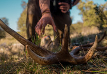 Riforma della legge sulla caccia: la situazione Riforma della legge sulla caccia: la situazione - cacciatore raccoglie palco da terra