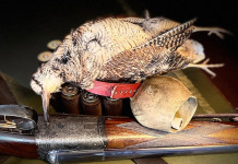 Calendari venatori 2024/2025: quando chiude la caccia alla beccaccia Calendari venatori 2024 2025 quando chiude la caccia alla beccaccia