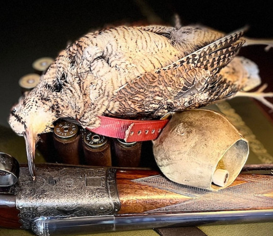 Calendari venatori 2024/2025: quando chiude la caccia alla beccaccia Calendari venatori 2024 2025 quando chiude la caccia alla beccaccia