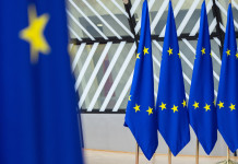 Indiscrezione della Lav sulla risposta del governo alla procedura d’infrazione sulla caccia Indiscrezione della Lav sulla risposta del governo alla procedura d’infrazione sulla caccia: bandiere Unione europea