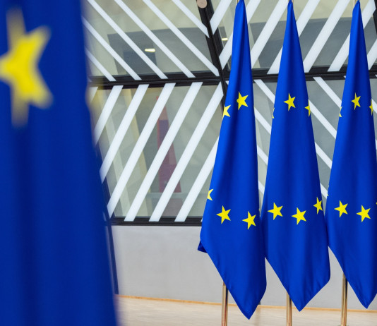 Indiscrezione della Lav sulla risposta del governo alla procedura d’infrazione sulla caccia Indiscrezione della Lav sulla risposta del governo alla procedura d’infrazione sulla caccia: bandiere Unione europea