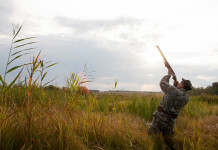 Modifiche della legge sulla caccia, sollecito di Confavi a governo e maggioranza Modifiche della legge sulla caccia, sollecito di Confavi a governo e maggioranza