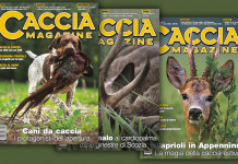 Offerta per l’apertura della caccia: 30% di sconto sull’abbonamento a Caccia Magazine Offerta per l’apertura della caccia il 30% di sconto sull’abbonamento a Caccia Magazine