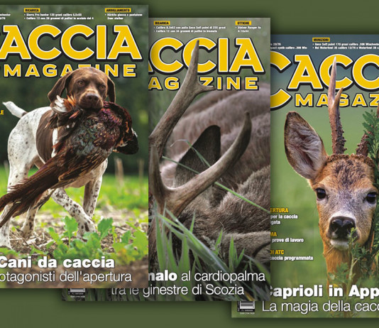 Offerta per l’apertura della caccia: 30% di sconto sull’abbonamento a Caccia Magazine Offerta per l’apertura della caccia il 30% di sconto sull’abbonamento a Caccia Magazine