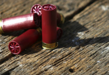 Procedura d’infrazione sulla caccia, il decreto in Gazzetta Procedura d’infrazione sulla caccia, il decreto in Gazzetta: quattro munizioni da caccia calibro 12