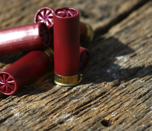 Procedura d’infrazione sulla caccia, il decreto in Gazzetta Procedura d’infrazione sulla caccia, il decreto in Gazzetta: quattro munizioni da caccia calibro 12