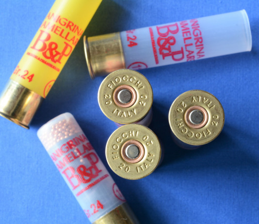 Ricarica calibro 20 con 24 grammi di piombo ramato numero 11: il test Ricarica calibro 20 con 24 grammi di piombo ramato numero 11 test