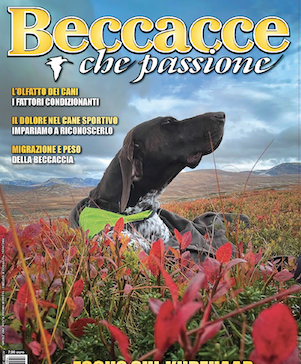 Beccacce che Passione numero 4 2024 vi aspetta in edicola beccacce che passione numero 4 2024