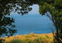 Accolto ricorso sulla perimetrazione del Parco di Portofino Accolto ricorso sulla perimetrazione del Parco di Portofino