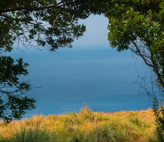 Accolto ricorso sulla perimetrazione del Parco di Portofino Accolto ricorso sulla perimetrazione del Parco di Portofino