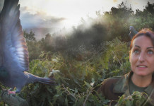 Ancora qualche giorno per partecipare alla 2ª edizione di «A caccia di scatti» Ancora qualche giorno per partecipare alla 2ª edizione di «A caccia di scatti»