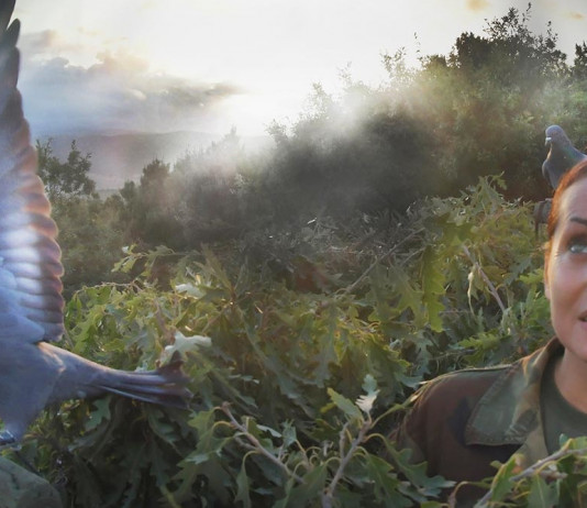 Ancora qualche giorno per partecipare alla 2ª edizione di «A caccia di scatti» Ancora qualche giorno per partecipare alla 2ª edizione di «A caccia di scatti»