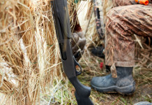 Approvata modifica della legge sulla caccia da capanno in Veneto Approvata modifica della legge sulla caccia da capanno in Veneto