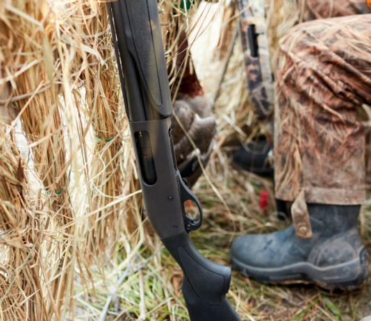 Approvata modifica della legge sulla caccia da capanno in Veneto Approvata modifica della legge sulla caccia da capanno in Veneto