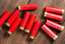 Camera approva modifica alla normativa sulle munizioni in piombo nelle zone umide Camera approva modifica alla normativa sulle munizioni in piombo nelle zone umide: munizioni da caccia