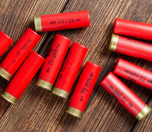 Camera approva modifica alla normativa sulle munizioni in piombo nelle zone umide Camera approva modifica alla normativa sulle munizioni in piombo nelle zone umide: munizioni da caccia