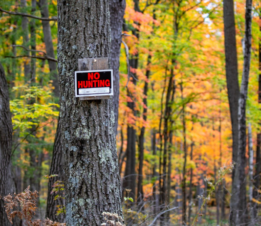 Fino a domenica stop alla caccia in provincia di Napoli Fino a domenica stop alla caccia in provincia di Napoli: divieto di caccia
