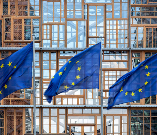 Governo fiducioso su chiusura della procedura d’infrazione europea sulla caccia Governo fiducioso su chiusura della procedura d’infrazione europea sulla caccia