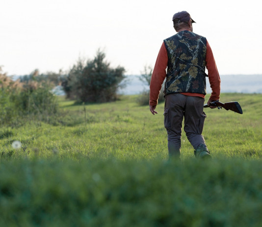 Il Fatto Quotidiano: «La riforma della legge sulla caccia in un collegato alla legge di bilancio» Il Fatto Quotidiano: «La riforma della legge sulla caccia in un collegato alla legge di bilancio» - cacciatore di spalle, con fucile in mano