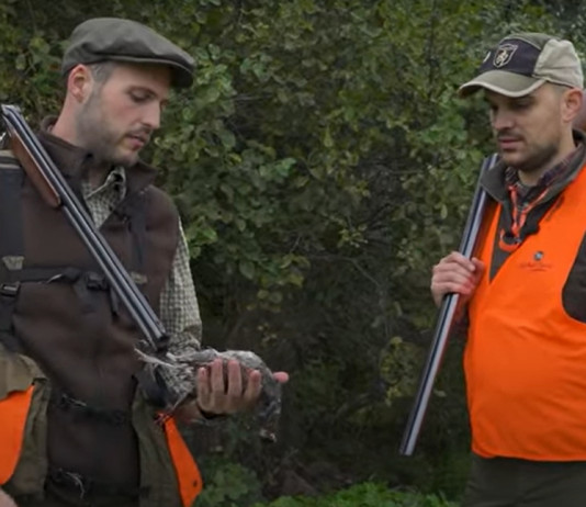 Il test delle Nobel sport Bismuth a caccia di starne con i setter inglesi: il video Il test delle Nobel sport Bismuth a caccia di starne con i setter inglesi video