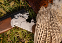 Beretta rinnova il 686 Silver Pigeon I: ecco la gallery fotografica Beretta rinnova il sovrapposto 686 Silver Pigeon I la gallery fotografica