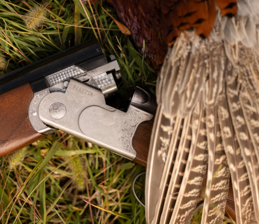 Beretta rinnova il 686 Silver Pigeon I: ecco la gallery fotografica Beretta rinnova il sovrapposto 686 Silver Pigeon I la gallery fotografica