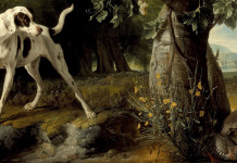 Parole e immagini dell’arte venatoria Parole e immagini dell’arte venatoria