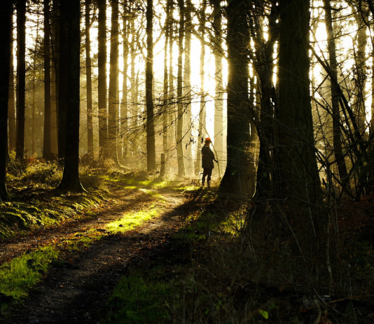 Ricostituito intergruppo Biodiversità, caccia e cultura rurale Ricostituito intergruppo Biodiversità, caccia e cultura rurale: cacciatore nella foresta belga