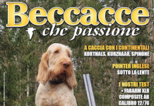 Beccacce che Passione numero 1 2025 vi aspetta in edicola beccacce che passione numero 1 2025