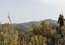 Buconi (Fidc) commenta la fine della stagione venatoria Buconi (Fidc) commenta la fine della stagione venatoria: cacciatore di spalle