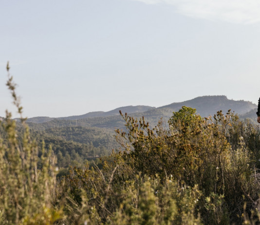 Buconi (Fidc) commenta la fine della stagione venatoria Buconi (Fidc) commenta la fine della stagione venatoria: cacciatore di spalle