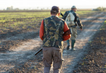 Buconi commenta l’emendamento sui calendari venatori Buconi commenta l’emendamento sui calendari venatori: due cacciatori di spalle