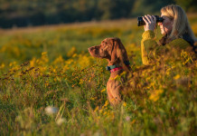 Carne di selvaggina e immagine sociale della caccia: il convegno Fidc a Eos Carne di selvaggina e immagine sociale della caccia: il convegno Fidc a Eos - donna cacciatrice guarda dentro binocolo, a suo fianco cane