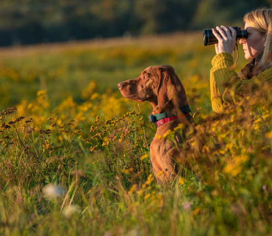 Carne di selvaggina e immagine sociale della caccia: il convegno Fidc a Eos Carne di selvaggina e immagine sociale della caccia: il convegno Fidc a Eos - donna cacciatrice guarda dentro binocolo, a suo fianco cane