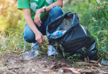 Cifra tonda per la Fondazione Una Cifra tonda per la Fondazione Una: raccolta rifiuti nel bosco