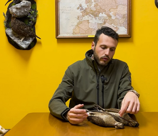 Dove si trova il pennino del pittore nella beccaccia? Il video tutorial della Caccia Magazine Academy Dove si trova il pennino del pittore nella beccaccia video tutorial della Caccia Magazine Academy